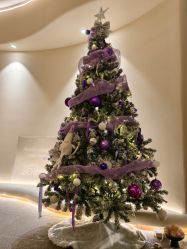 -阿南达·瑜伽普拉提·阿育吠陀疗愈中心