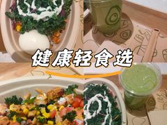 -油梨树 AVOCADO TREE(亮马桥店)