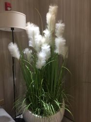 -CE·专业蛋白•羽毛接发·潮色烫染品牌店