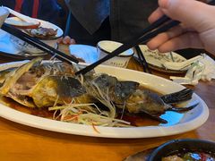 高原雪山鱼-小厨子私房菜·云南美食店