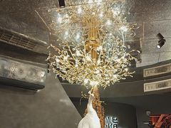 -滇野云南野生菌餐厅(陕西南路店)