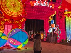 -欢乐海岸椰林沙滩-2025湾区超级灯会