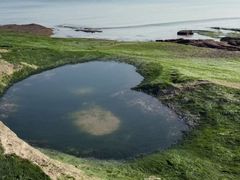 -巧克力渔家.小船海鲜家常菜(万平口店)