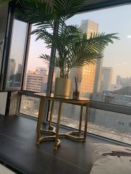 -ACE造型