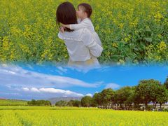 -光明小镇欢乐田园