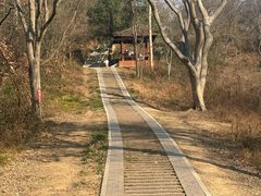 -青龙山国家森林公园