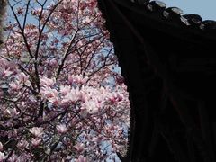 -琅琊山景区