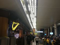 -谢列梅捷沃国际机场