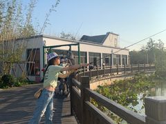 -上海长兴岛郊野公园