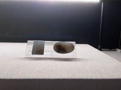 -深圳博物馆(古代艺术馆)