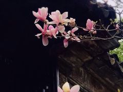 -留园