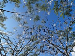 -一寨两国风景区