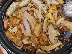 -菌之家·专业纯野生菌火锅·特色炒菌