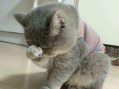-中农大我爱我爱24h动物医院·中医针灸·猫专科·骨科医疗中心(双井店)