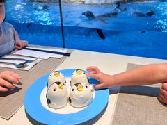 -帝企鹅自助餐厅•儿童岛•真企鹅(长隆企鹅酒店)