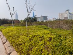 -泉城广场