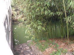 -紫竹院公园冰场