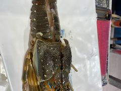 -碗中海·蒸汽海鲜·桑拿鸡(岭南天地店)