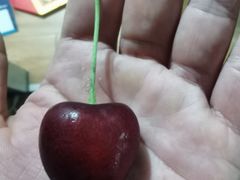 -上海龙吴水胜海发市场