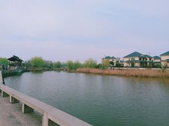 -杭州湾海上花田景区