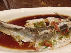-醉美东江·三文鱼·烧鸡公
