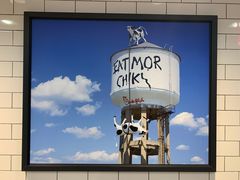 -华盛顿杜勒斯国际机场