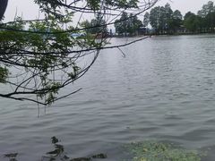 -东湖落雁景区