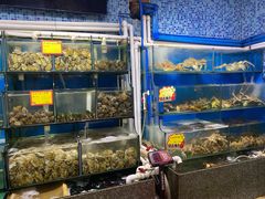 水产区-蚝专家(北滘店)
