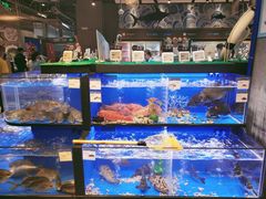 水产区-盒马鲜生(皇庭广场店)