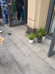 -童梦时光儿童摄影(华业·东方玫瑰店)