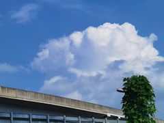 -白鹭湾湿地公园