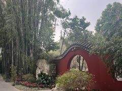-望江楼公园