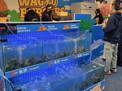 -龙湖重庆时代天街