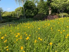 -苏州上方山国家森林公园