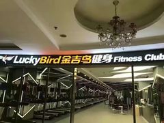 -金吉鸟健身游泳