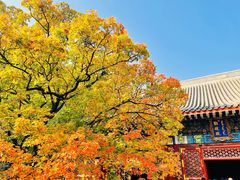 -香山公园