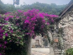 -高荡千年布依古寨旅游景区