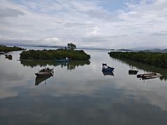 -盐洲岛
