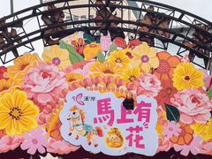 -溪岸路花鸟市场