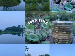 -渤公岛生态公园