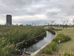 -鹦鹉洲湿地公园
