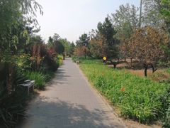 -绿堤公园