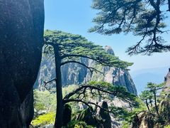 -黄山风景区
