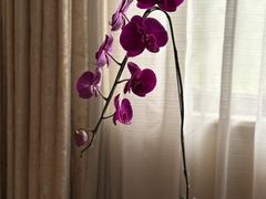 -福建鲤鱼洲酒店