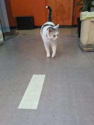 -CICI街舞专业培训