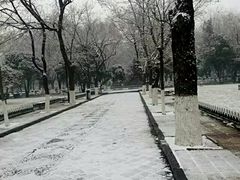 -山东大学(趵突泉校区)