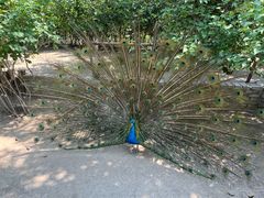 -齐齐哈尔龙沙动植物园