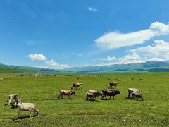 -新疆那拉提国家旅游度假区