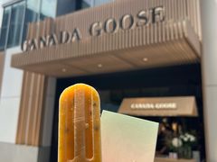 -Canada Goose加拿大鹅(北京三里屯太古里店)