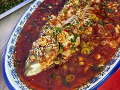 -金水泊山庄·花椒鸡(铁山坪店)